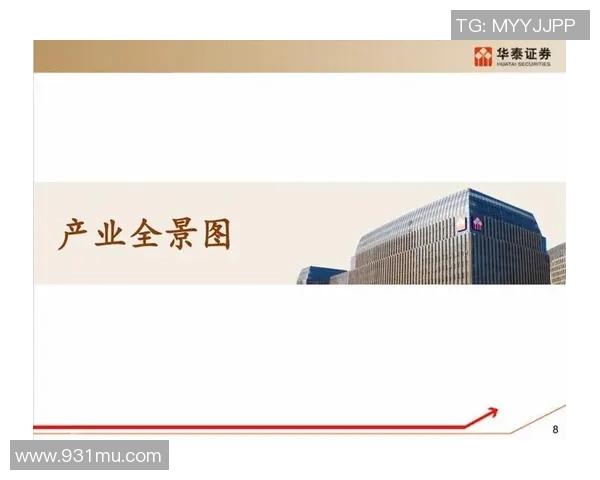 广州羽毛球队逆袭之路:重塑团队精神与技术革新全景解析