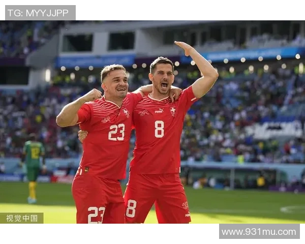 瑞士与喀麦隆足球明星的辉煌历程与精彩对决